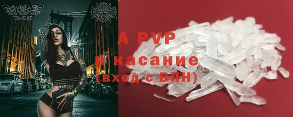 apvp Алзамай