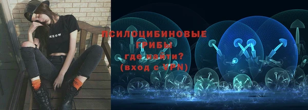 бошки Алексеевка