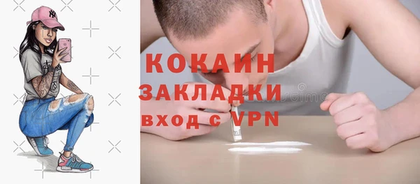 твердый Алексин