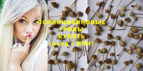 apvp Алзамай