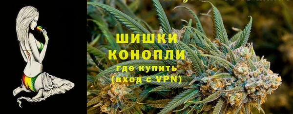apvp Алзамай