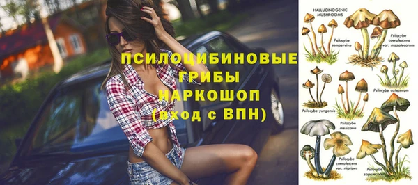 apvp Алзамай