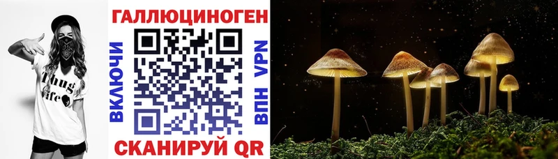 Псилоцибиновые грибы ЛСД  кракен маркетплейс  Ивдель 